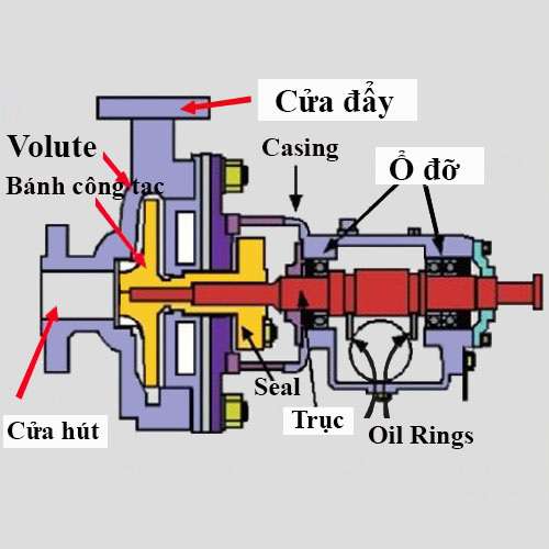 Cấu Tạo Máy Bơm Nước Gia Đình 