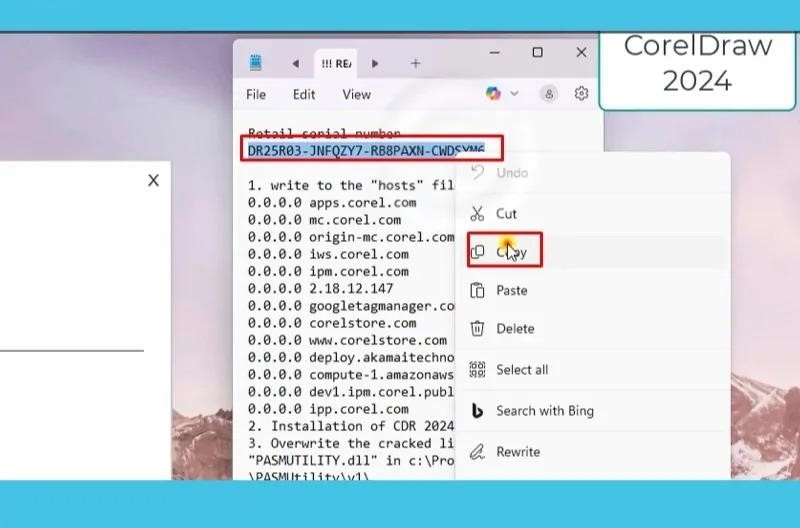 Sao chép Serial Number được cung cấp